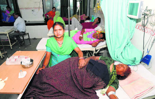 Diarrhoea panic in Mauli Jagran