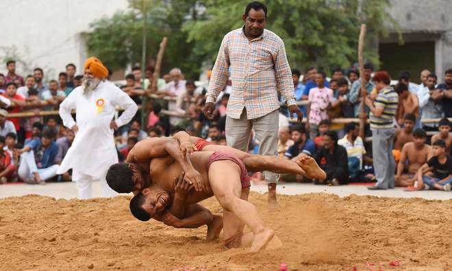 30 wrestlers contest from Punjab, Haryana