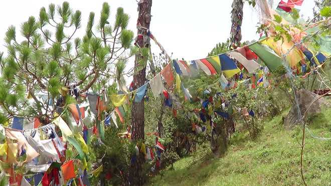 Evict Tibetans from forestland: Residents