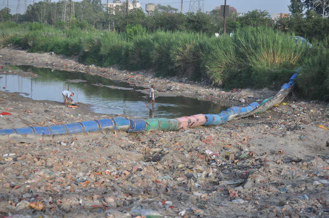 Floating barriers can help clean water bodies: Expert