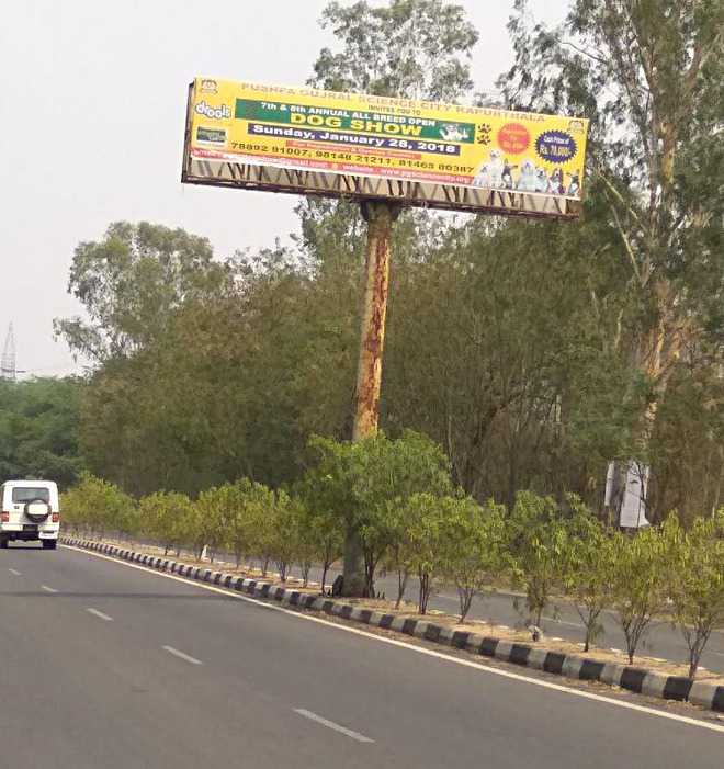Illegal hoarding at Kapurthala road draws flak from commuters
