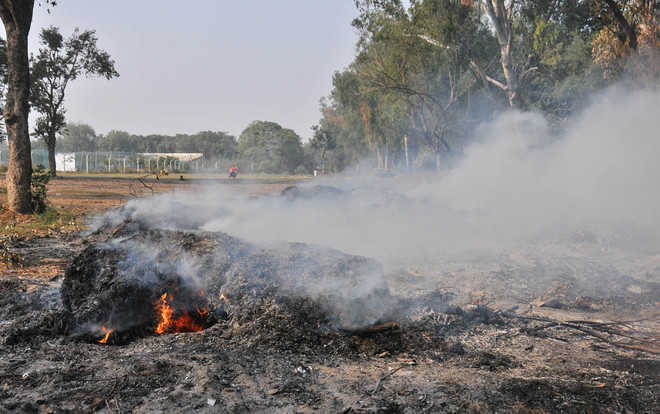 Despite ban, burning of garbage continues unabated in city
