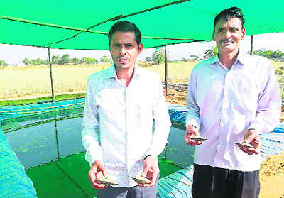 Gurugram first in state to promote pearl, shrimp farming