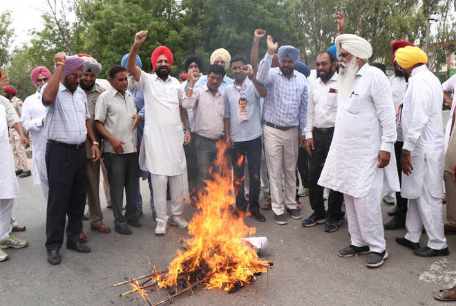 AAP burns govt’s effigy over attack on MLA