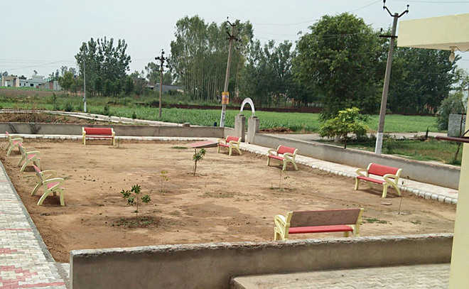 Stinking pond turns into beautiful park in Alipur village