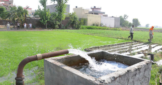 Punjab grappling with shrinking water supply: Experts