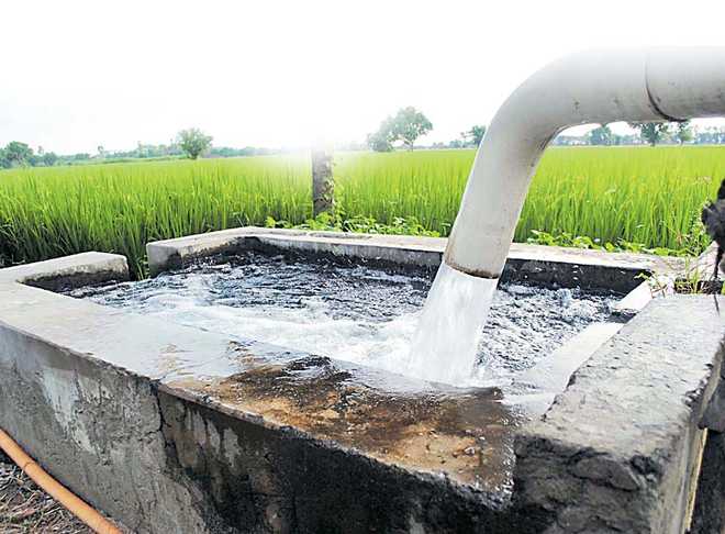 Half of Rs 6,000-cr subsidy goes to big farmers
