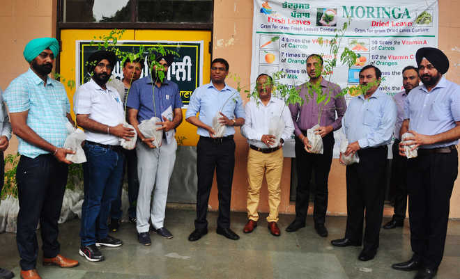 Forest Dept distributes saplings at administrative complex