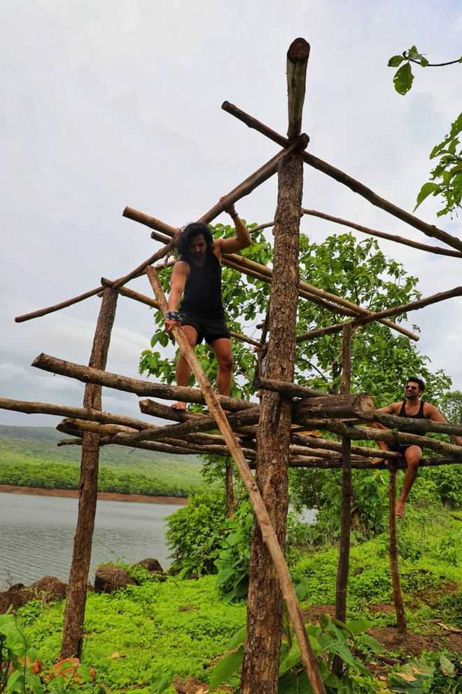 Harshvardhan builds a tree house