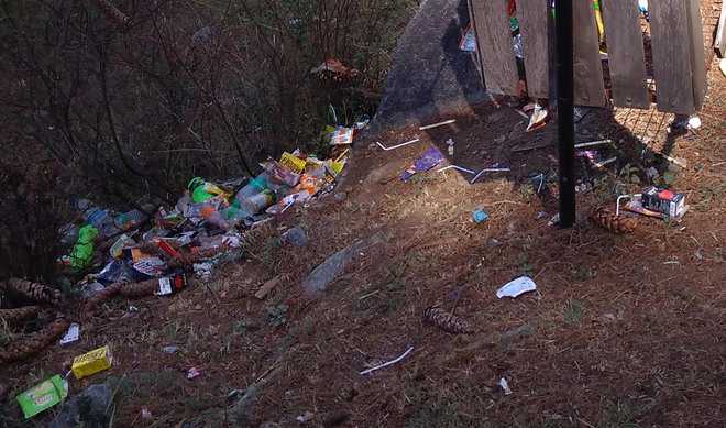Garbage an eyesore on way to Bijli Mahadev