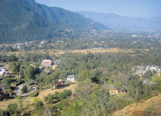 Let Van Mahotsav be for forests, not just trees