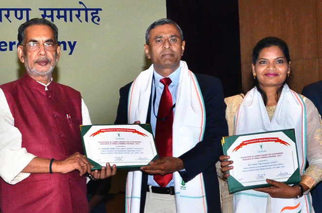 drdo-scientist-gets-award-the-tribune-india