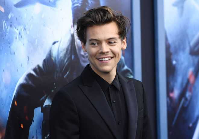 Harry Styles tour raises $1.2 million for charity