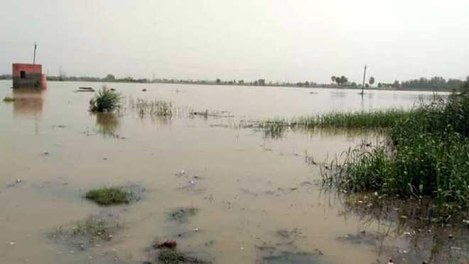 Fields inundated, dept awaits funds for water-lifting pumps
