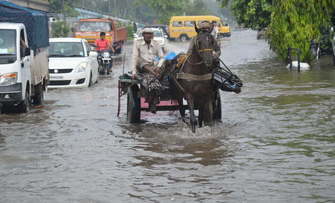 30-min rainfall inundates Dholewal, Sherpur chowk