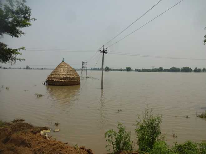 Drains encroached; fields turn into Venice