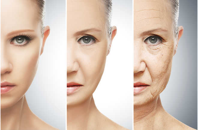 Age-related skin wrinkles, hair loss reversed in mice