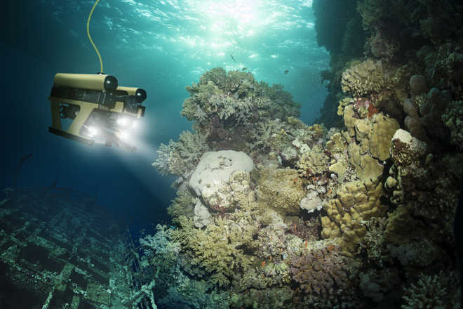 Soft, underwater robots can help study sea creatures