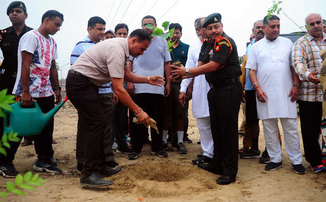 Army, MC officials plant saplings along Buddha Nullah