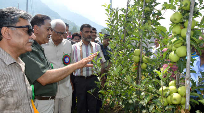 Governor for setting up of fruit processing units