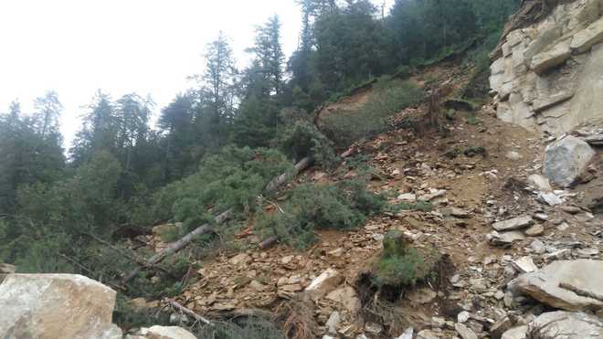 Apple transportation hit as Theog-Hatkoti-Rohru road blocked due to landslides