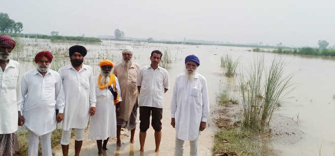 Rivers in spate, crops in 16 villages submerged