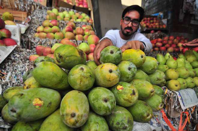 Pakistani ‘chaunsa’ a hit with mango lovers