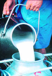 60% milk food samples seized in Punjab raids fail quality test