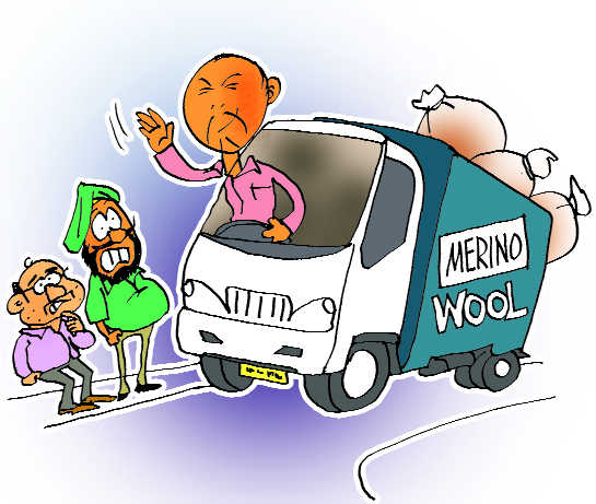 Sharp hike in Merino wool price hits domestic industry