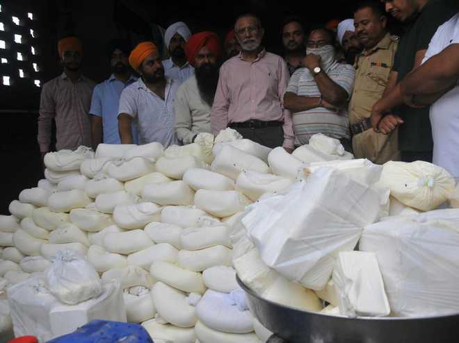 20 quintals of spurious cheese seized from Ballo Majra factory