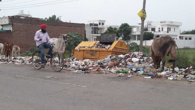 Sangrur raises stink as land lease row hits waste-lifting
