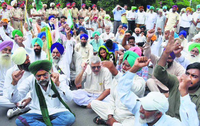 Protest against life imprisonment to murder convict