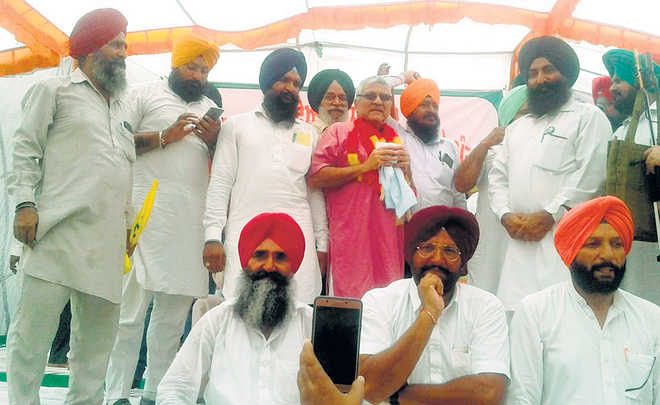 Punjab farmers root for poppy cultivation