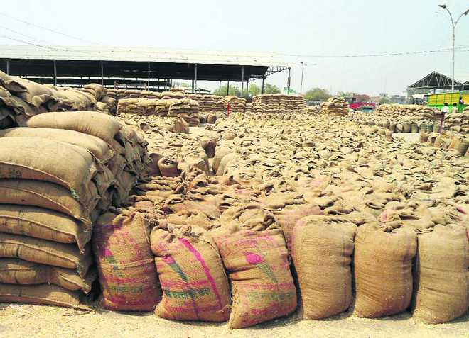 Another Sangrur godown looted, 298 wheat bags gone