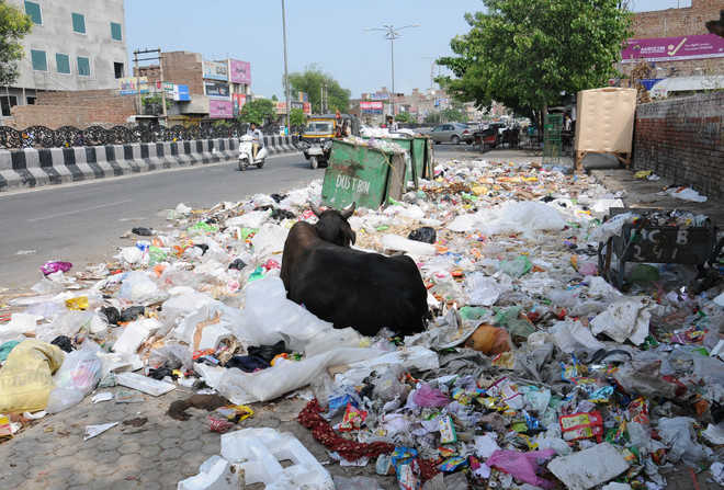 Littering streets? Be ready to cough up fine of Rs 500