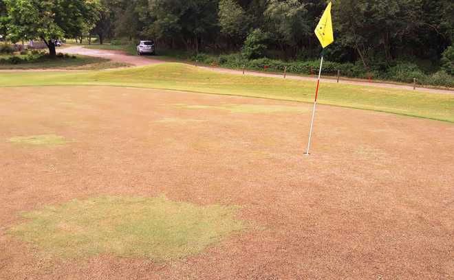 At Chandigarh Golf Club, expertise is the need of the hour