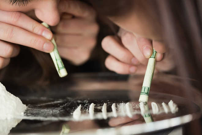 elephant cigarette daydreams Cage The Elephant elephant cigarette daydreams Cage The Elephant