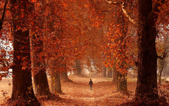 Kashmir basks in pristine glory as autumn arrives