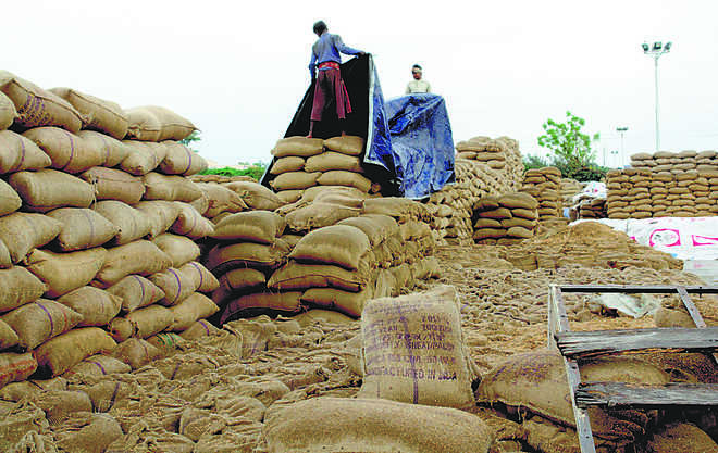 ‘Rice for poor’ finds way to Haryana mills