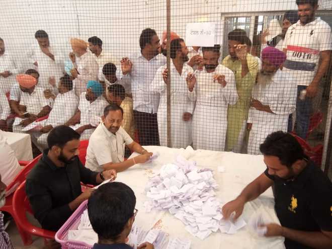 Cong sweeps Punjab ZP polls, leading in majority panchayat samitis