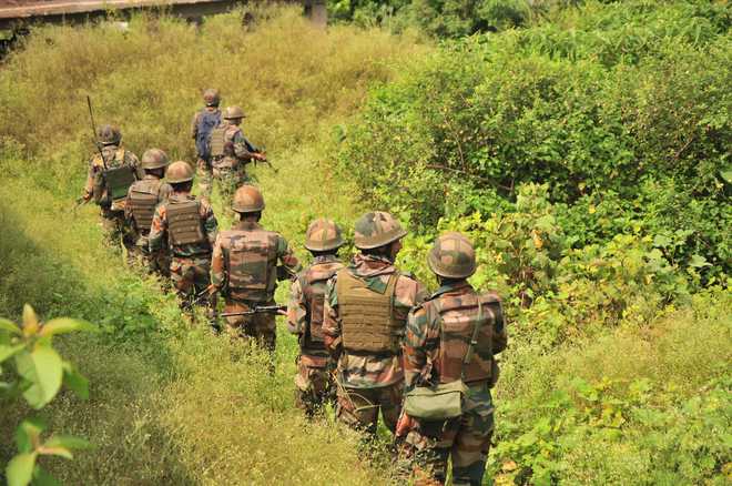 Massive search operation under way in Shopian, Pulwama dists of J&K