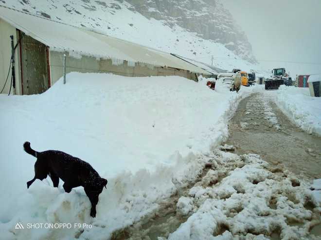 Tourists among 1,000 stranded in snow-covered higher reaches of Manali