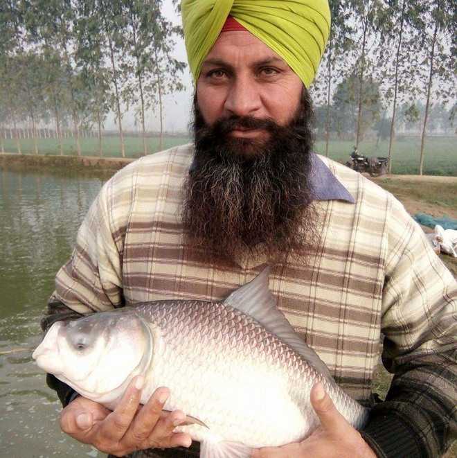 Fish farmers opt for herbal feed
