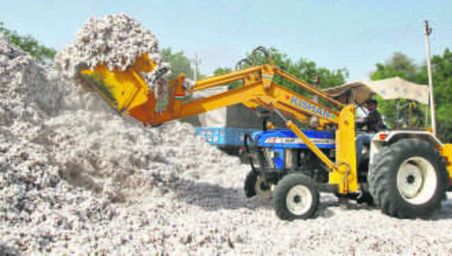 50% of cotton procured without bill
