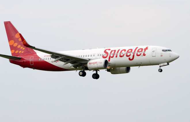 SpiceJet under DGCA lens for purported New Year revelry onboard flight