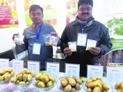 Now, biscuits, noodles made from potatoes come up at India expo