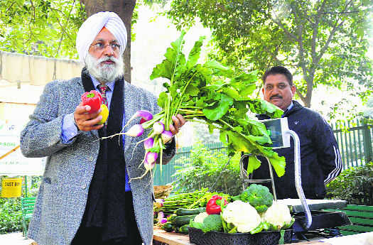 NGO roots for pesticide-free crops
