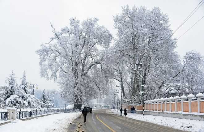 Heavy snowfall cuts off Kashmir