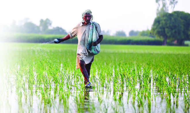 In state, only 6,409 opt for PM’s crop insurance cover