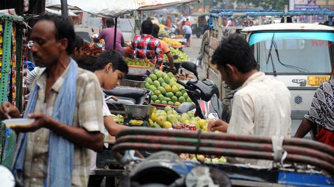 Jagraon MC issues identity cards to 50 street vendors